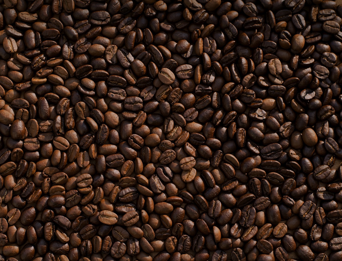 Gayo Arabica green coffee beans from Aceh Highlands, Sumatra, Indonesia
